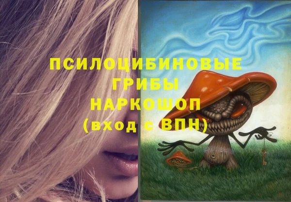 PSILOCYBIN Волосово